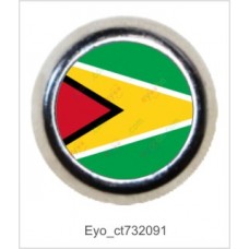 yooba çıt çıt - Bayrak - Guyana